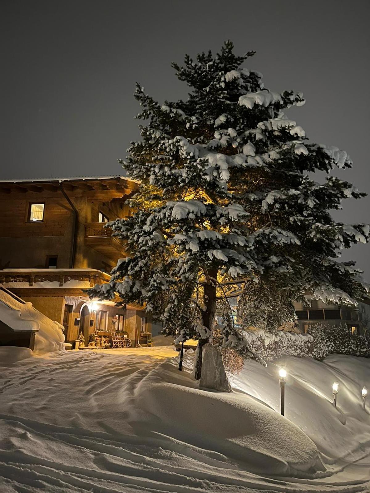 Apartment Alpenperle سخلادميخ المظهر الخارجي الصورة